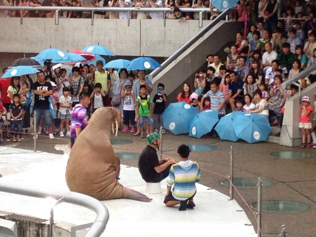 写真 2013-08-24 16 35 36