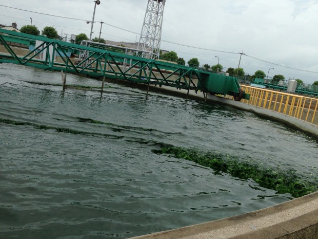 写真 2013-08-24 10 35 27