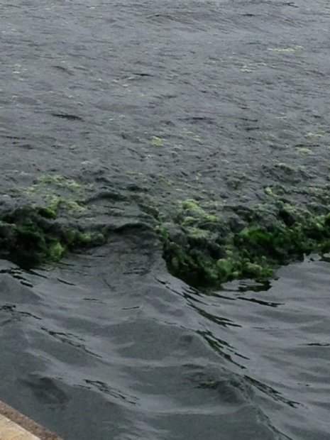 写真 2013-08-24 11 25 07