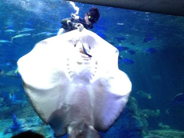 写真 2013-08-24 16 35 51