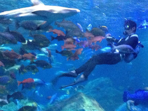 写真 2013-08-24 16 35 43