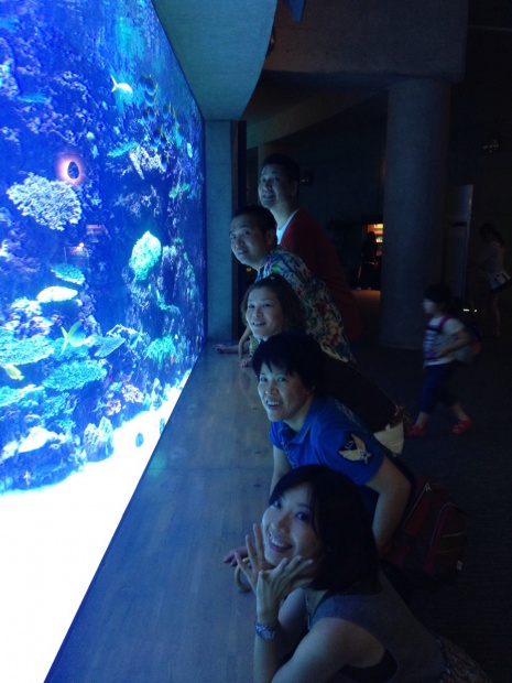 写真 2013-08-24 16 36 03