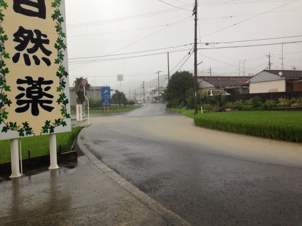 写真 2013-09-04 10 14 11