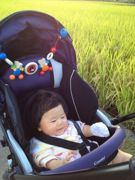 写真 2013-09-28 17 49 22