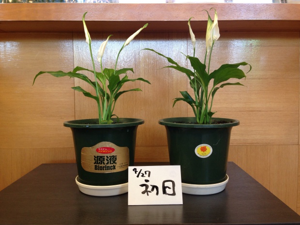 写真 2013-10-04 15 52 46