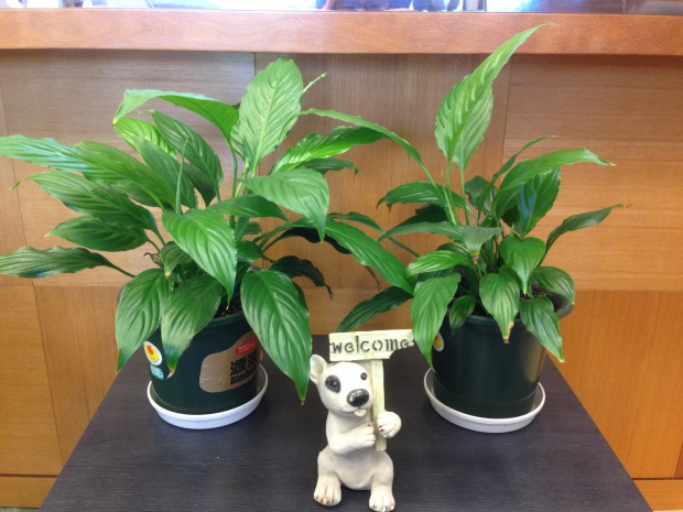 写真 2013-10-04 16 52 54