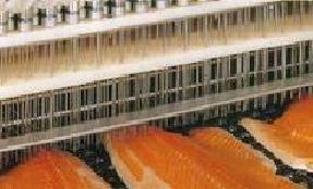 402bfdb76d5a33c3a1992f85c96b4dce