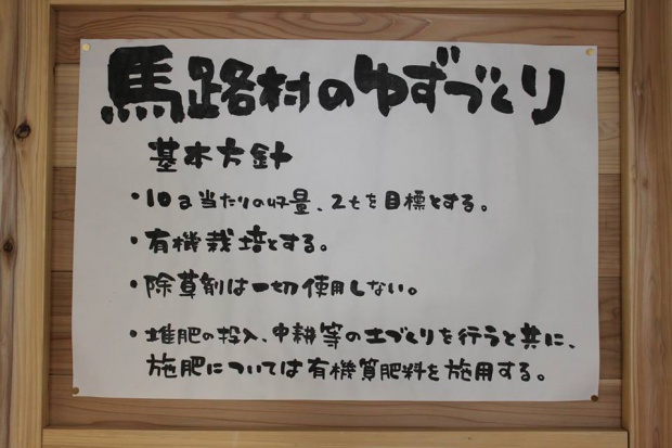 1533316_456944031094639_716708508_n