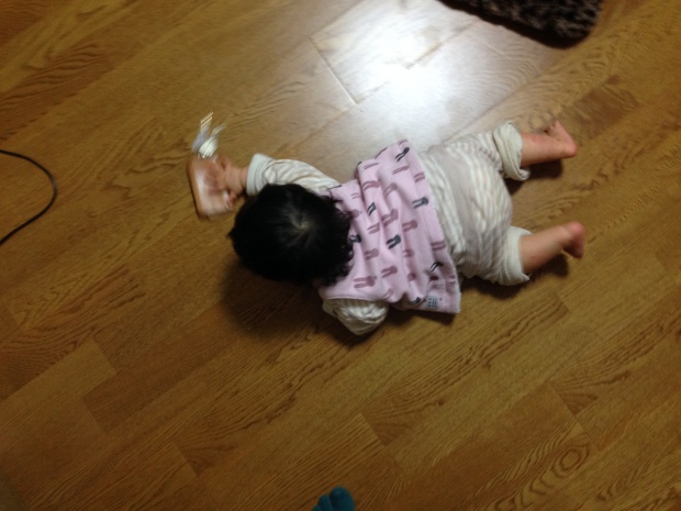 写真 2014-01-20 16 59 12 (1)