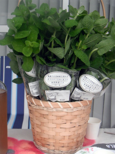 img_990219_32290896_7