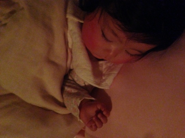 写真 2014-02-03 22 09 18