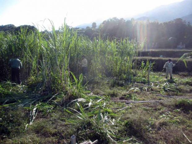 1465328_324965044312675_1497642891_n