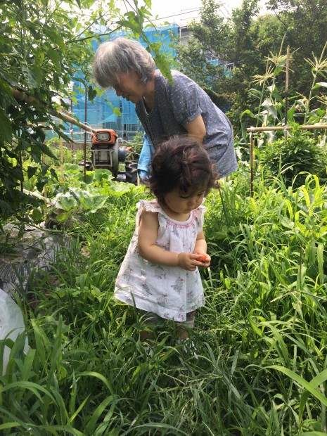 写真 2014-06-26 13 40 58 (1)