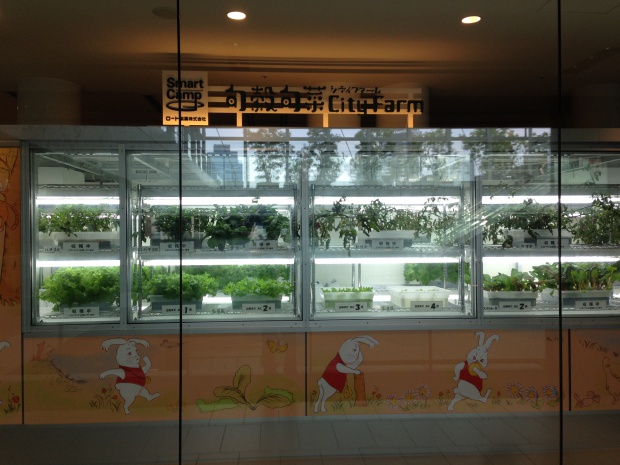 写真 2014-06-29 11 52 51