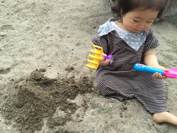 写真 2014-06-03 16 08 16