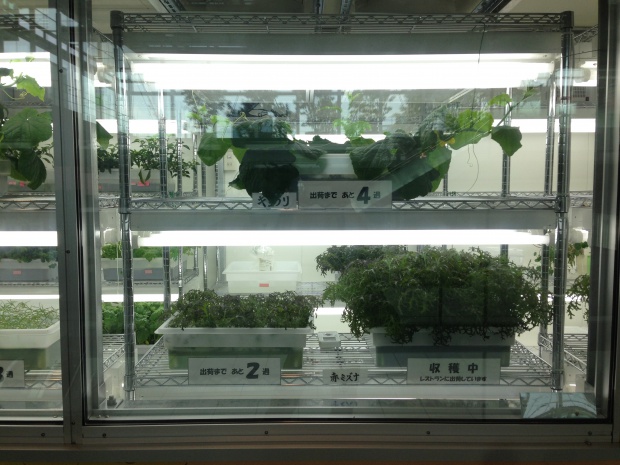 写真 2014-06-29 11 52 35