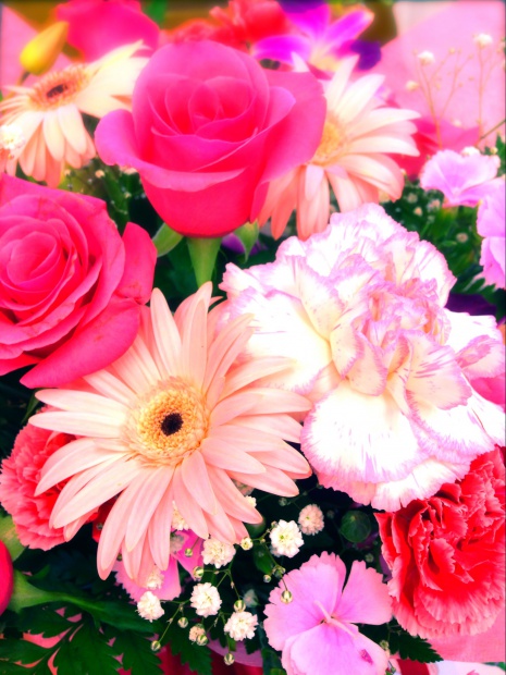 写真 2014-07-05 18 22 27