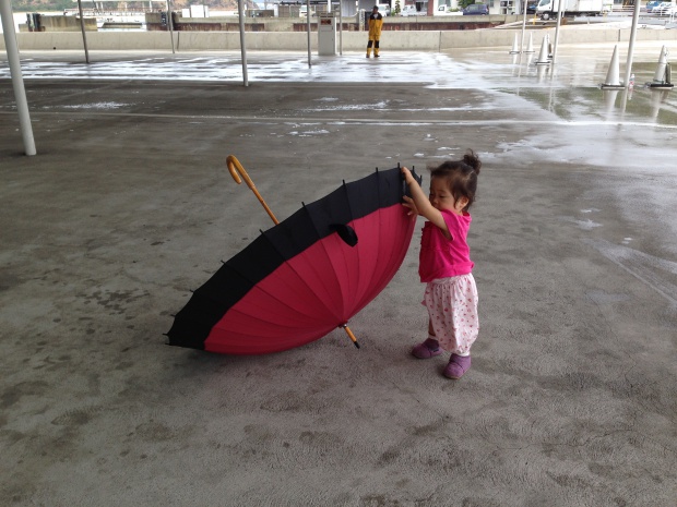 写真 2014-08-03 13 24 02