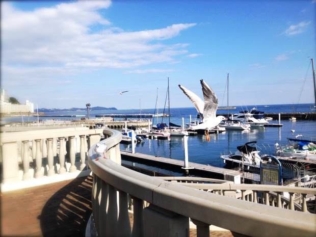 写真 2014-11-16 12 56 55