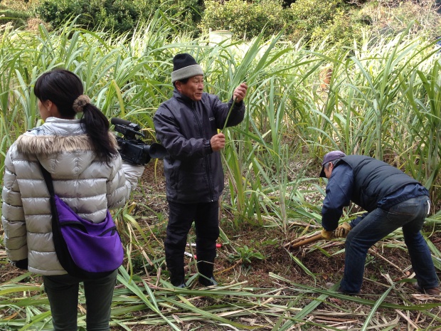 写真 2014-12-06 10 18 03