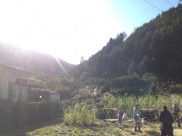 写真 2014-12-06 13 59 52