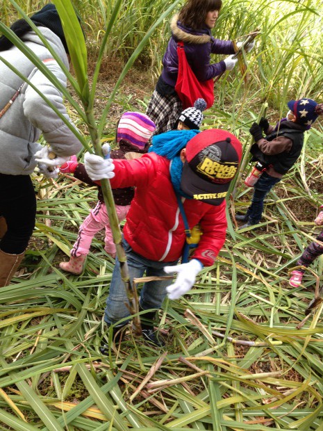 写真 2014-12-06 10 20 24