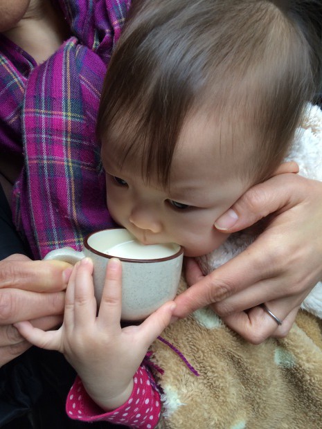 写真 2015-01-14 14 31 40