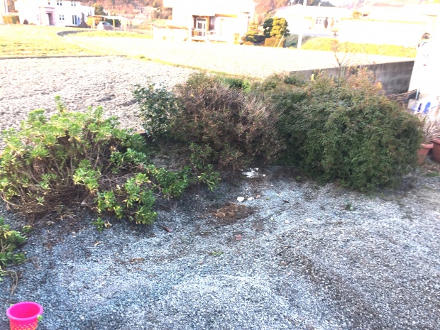 写真 2015-02-14 17 19 55