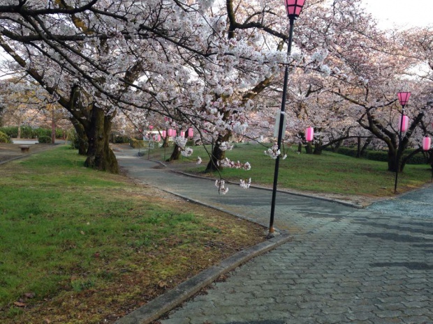 11081490_541906639285180_2036415048216195627_n