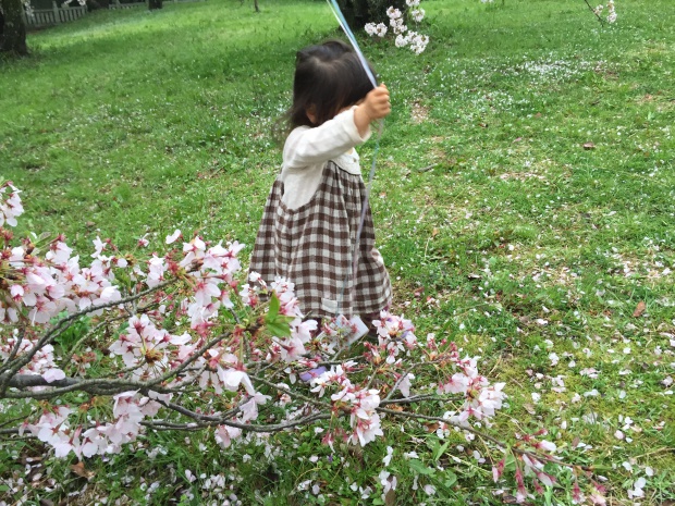 写真 2015-04-04 17 17 31