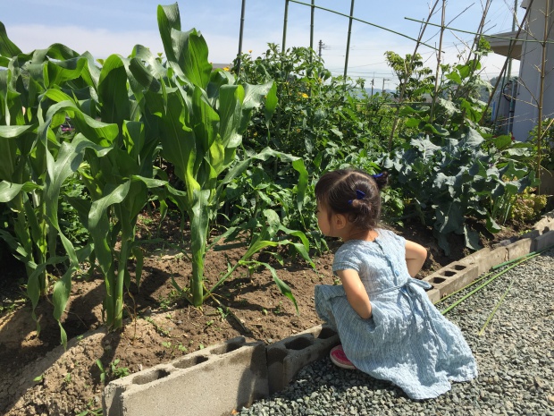 写真 2015-05-27 9 59 16