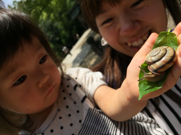 写真 2015-05-17 11 22 50