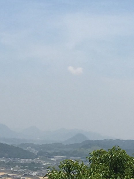 写真 2015-05-17 11 43 22