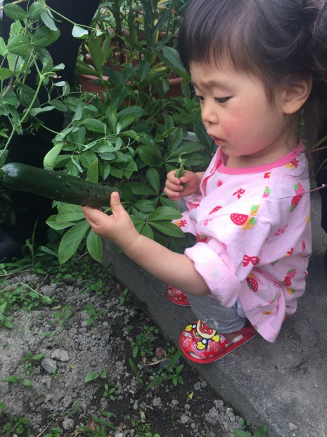 写真 2015-05-25 17 11 46