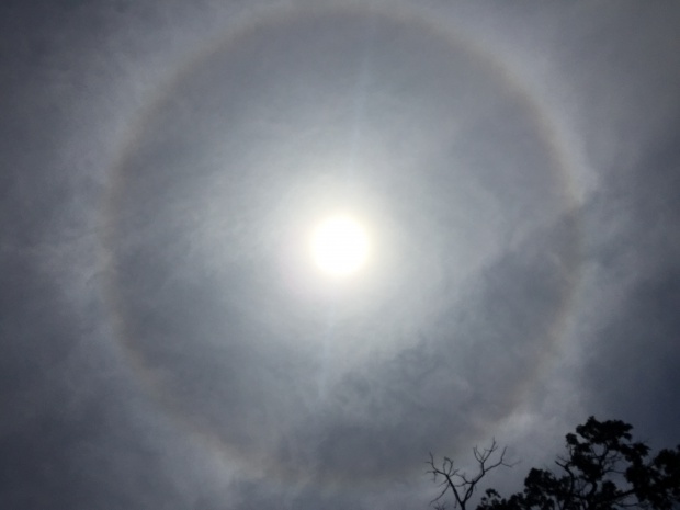 写真 2015-05-17 11 47 12