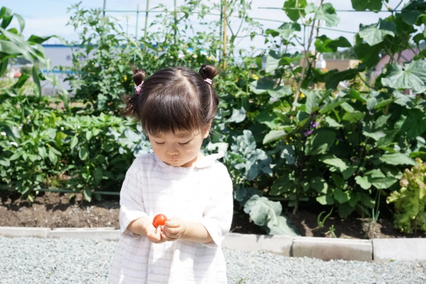 写真 2015-06-06 10 06 42