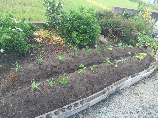 写真 2015-04-22 15 57 03