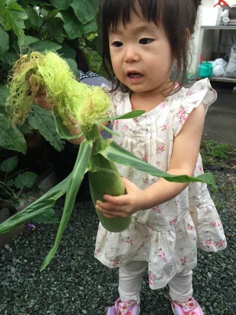 写真 2015-06-26 18 23 08