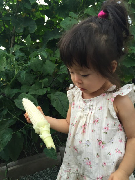 写真 2015-06-26 18 25 17