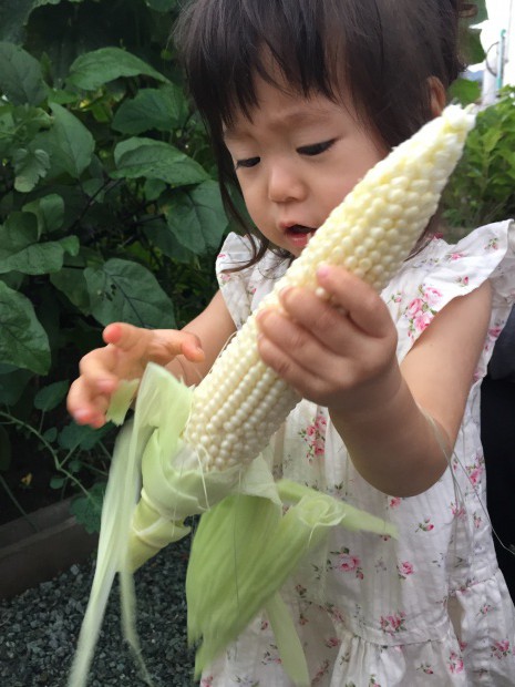 写真 2015-06-26 18 24 38