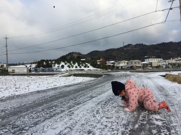 写真 2016-01-25 9 11 05