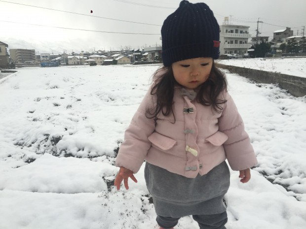 写真 2016-01-24 11 13 23