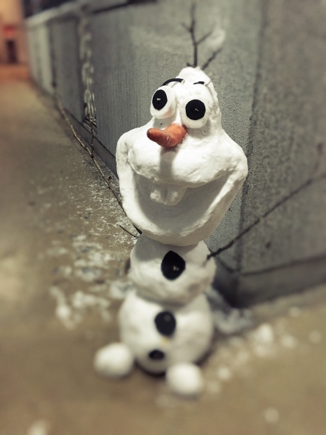 写真 2016-01-24 19 44 23