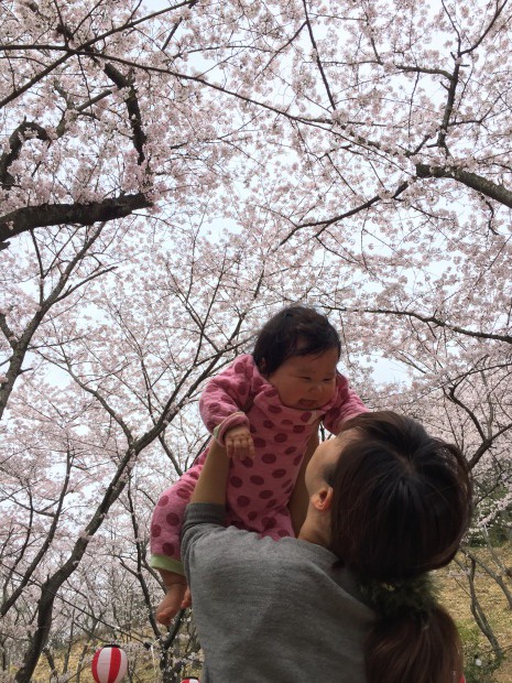 写真 2016-04-03 14 02 28