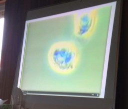 写真 2016-04-05 19 14 39