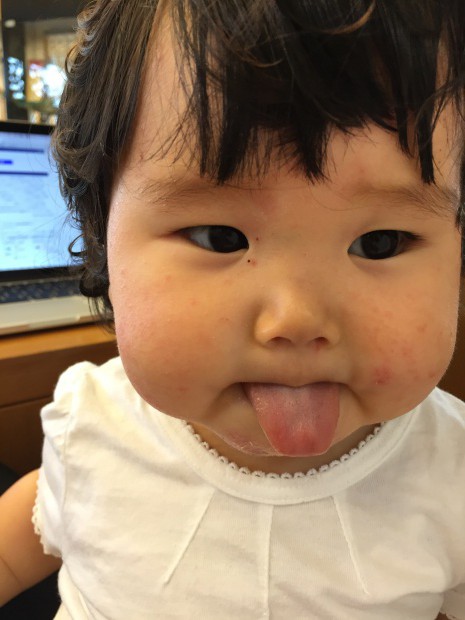 写真 2016-06-09 10 48 38