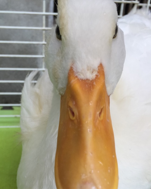 049209dfb588aa23356178ff82b66e88