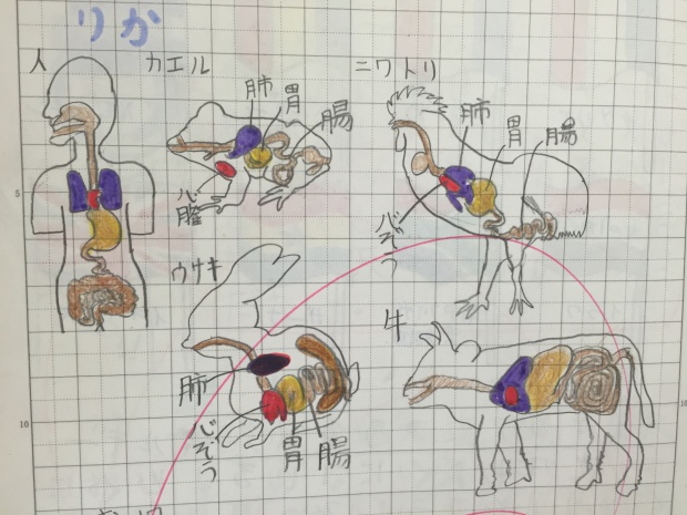 写真 2016-10-01 9 30 03