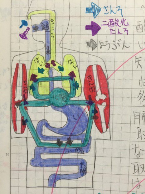 写真 2016-10-01 9 29 34
