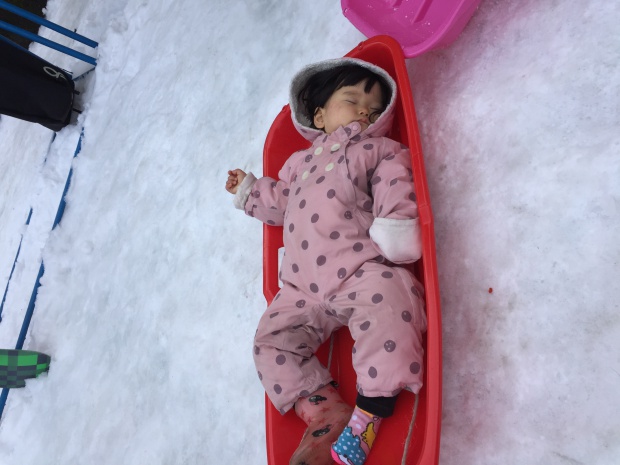 写真 2016-12-18 15 36 26